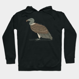 Slender-billed Vulture Hoodie